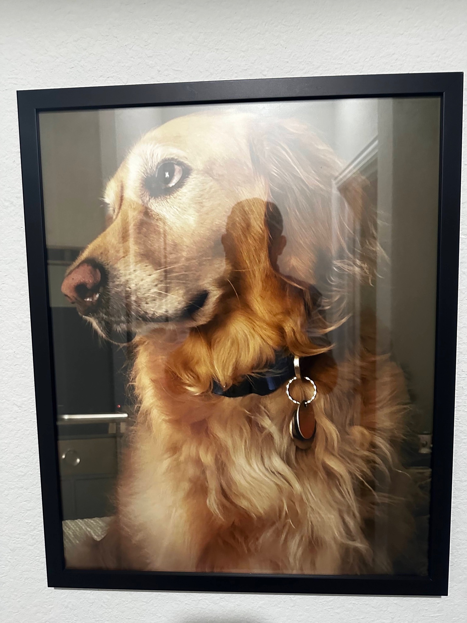Louie memory